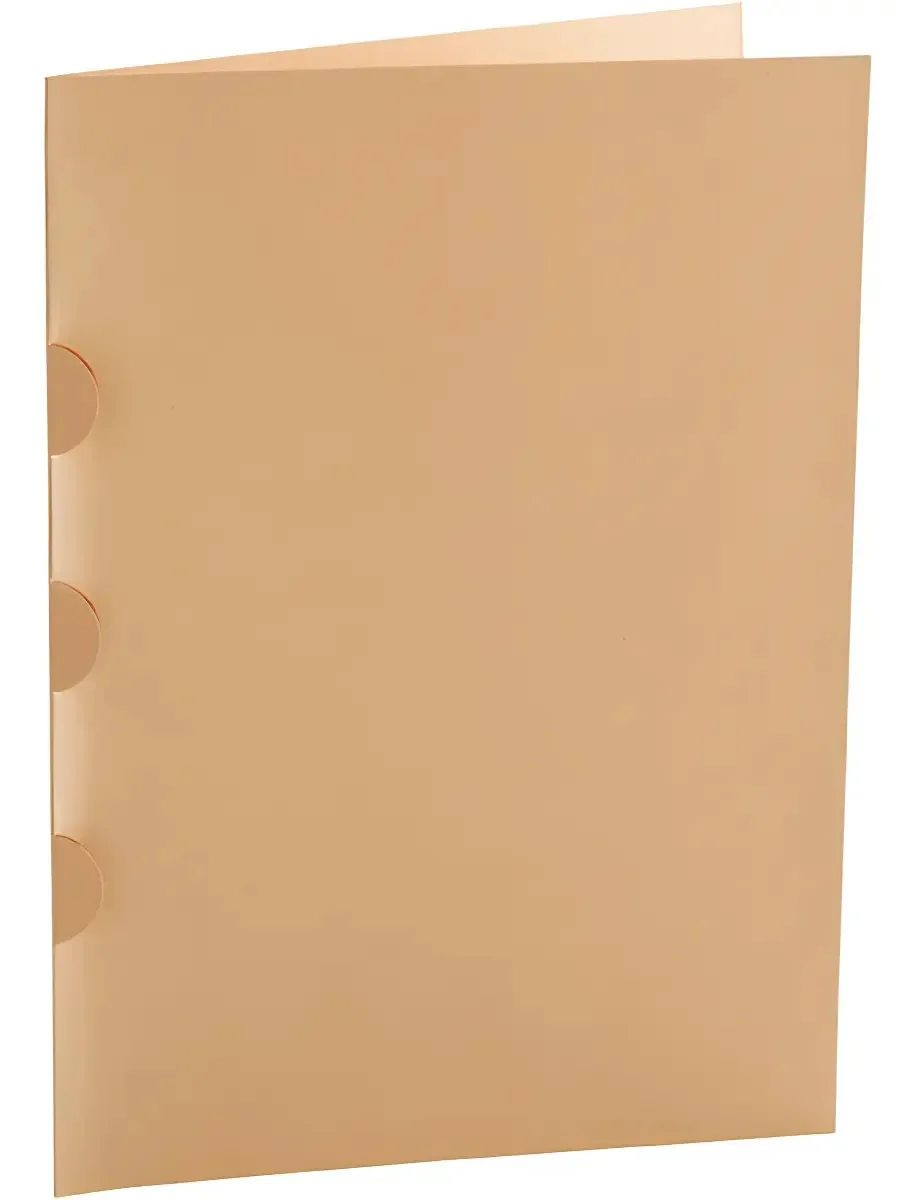 Pasta Proposta Oficio Bege Delloclean