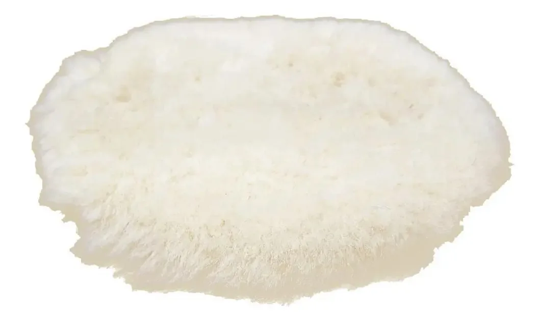 Boinas Para Politriz Castor 8