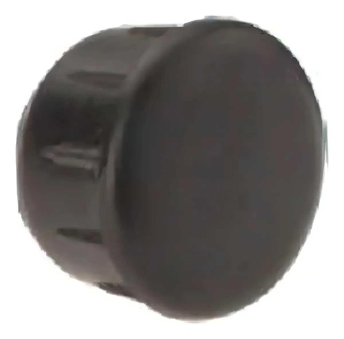 Ponteira Interna Para Tubo 1 - Kit 10 Peças