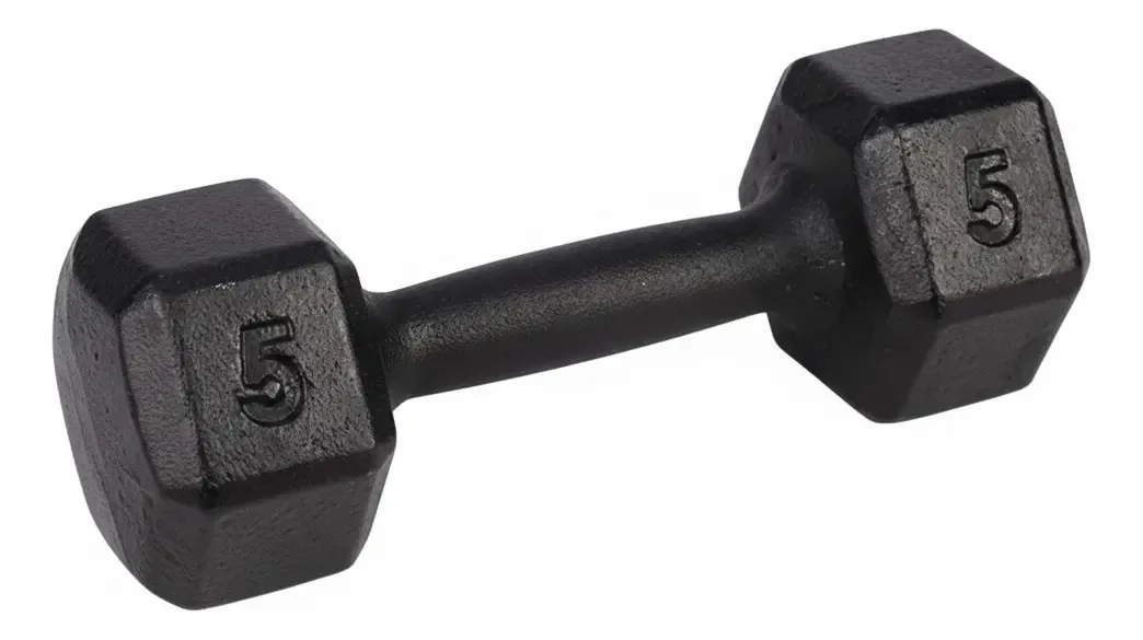Halter 5kg Pintado Sextavado Peso Fitness Dumbbell Musculação Treino Academia Casa
