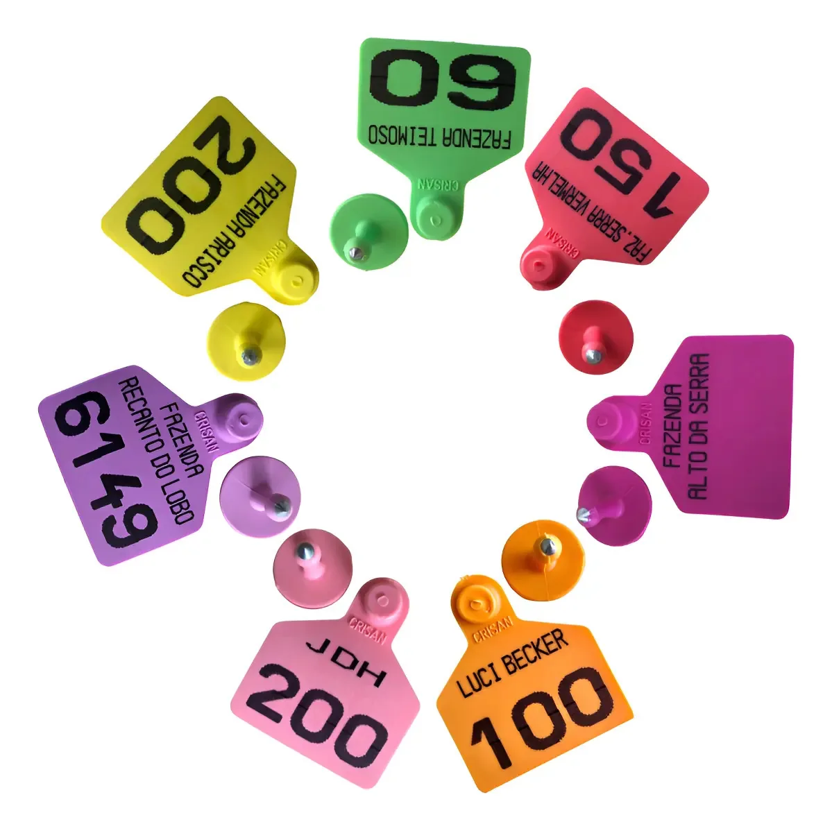 Brincos Cartão Crisan Bovinos Rosa Personalizados 6.8cm