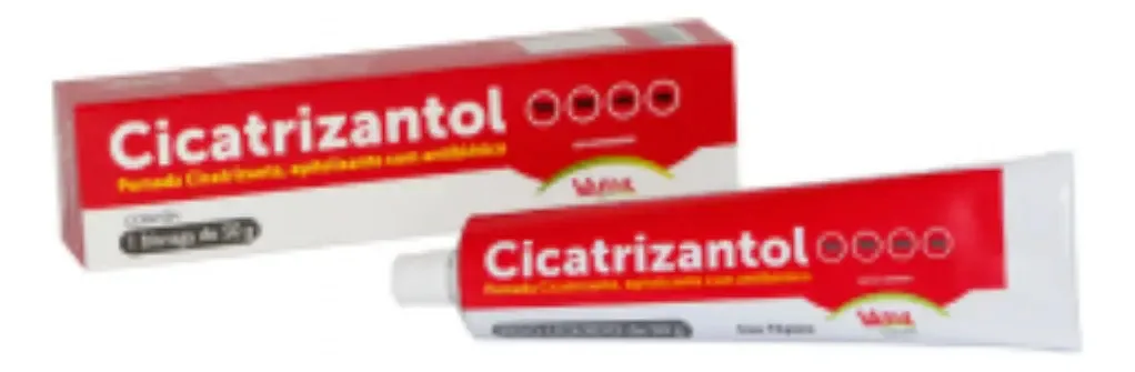 Pomada Cicatrizante Cicatrizantol 50gr Vansil