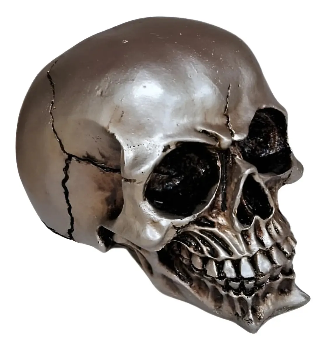 Caveira Socrates Prata R.deco Skull-09