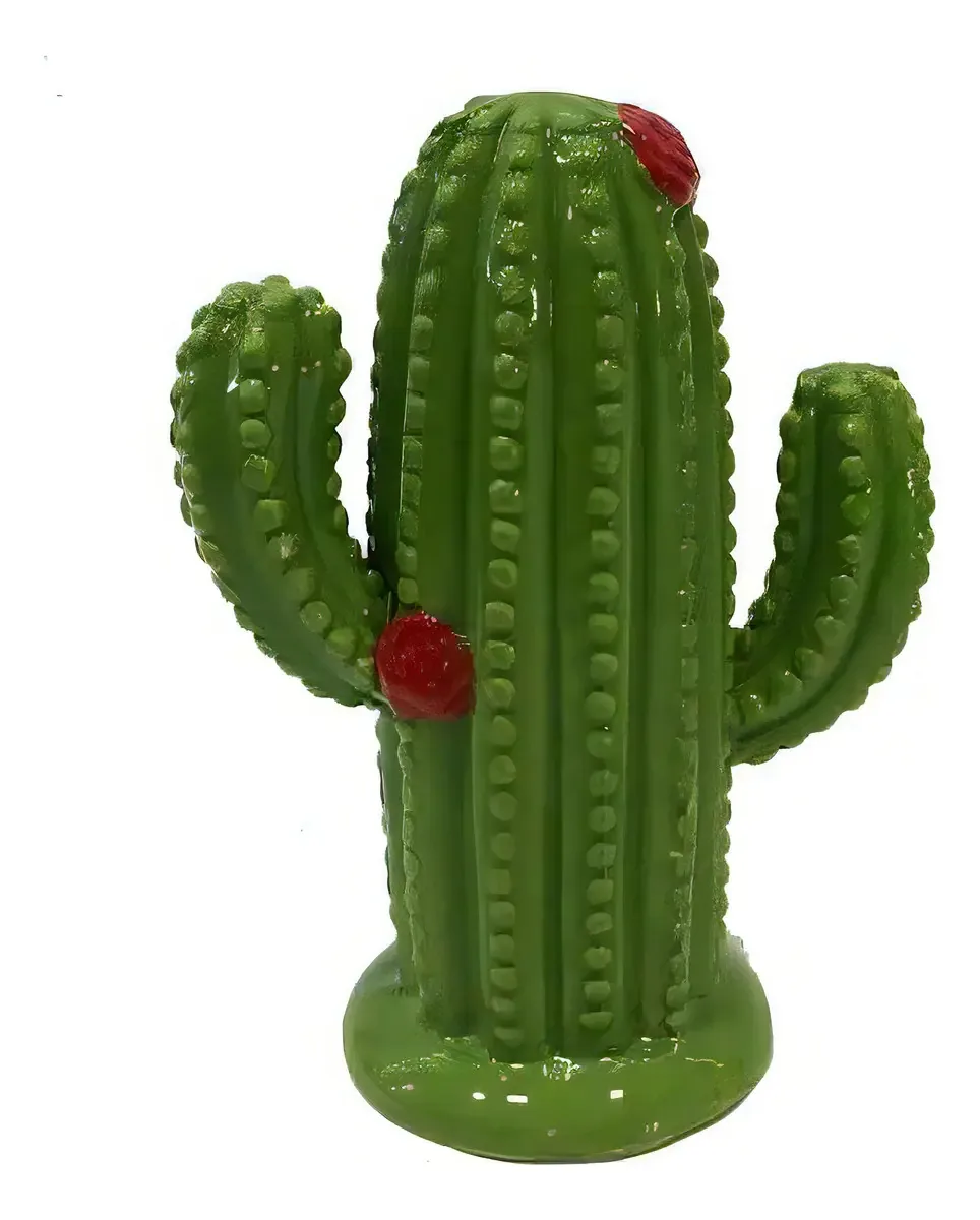 Cofre Cactus Flores Decorativo 20x15x8cm