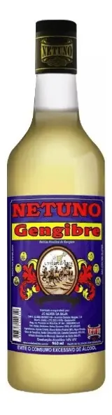 Beb Netuno Gengibre 960ml