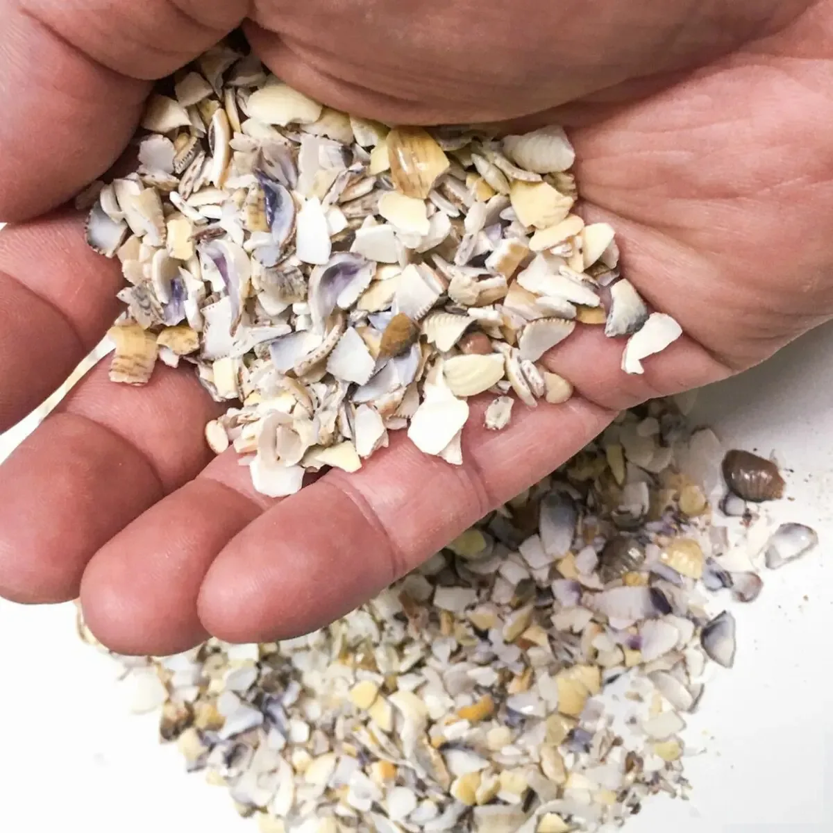 Subs.aqua Pedras Aragonita Nr.2 1kg