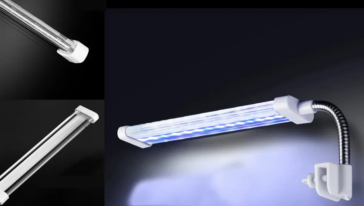 Lampada Para Tartaruga Led Branco E Azul - Dee3 14cm 6w D5p5