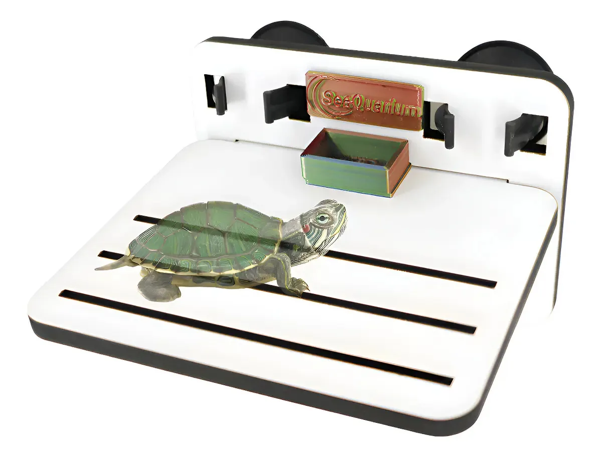 Rampa Plataforma Para Terrario De Tartatugas E Repteis - Peq
