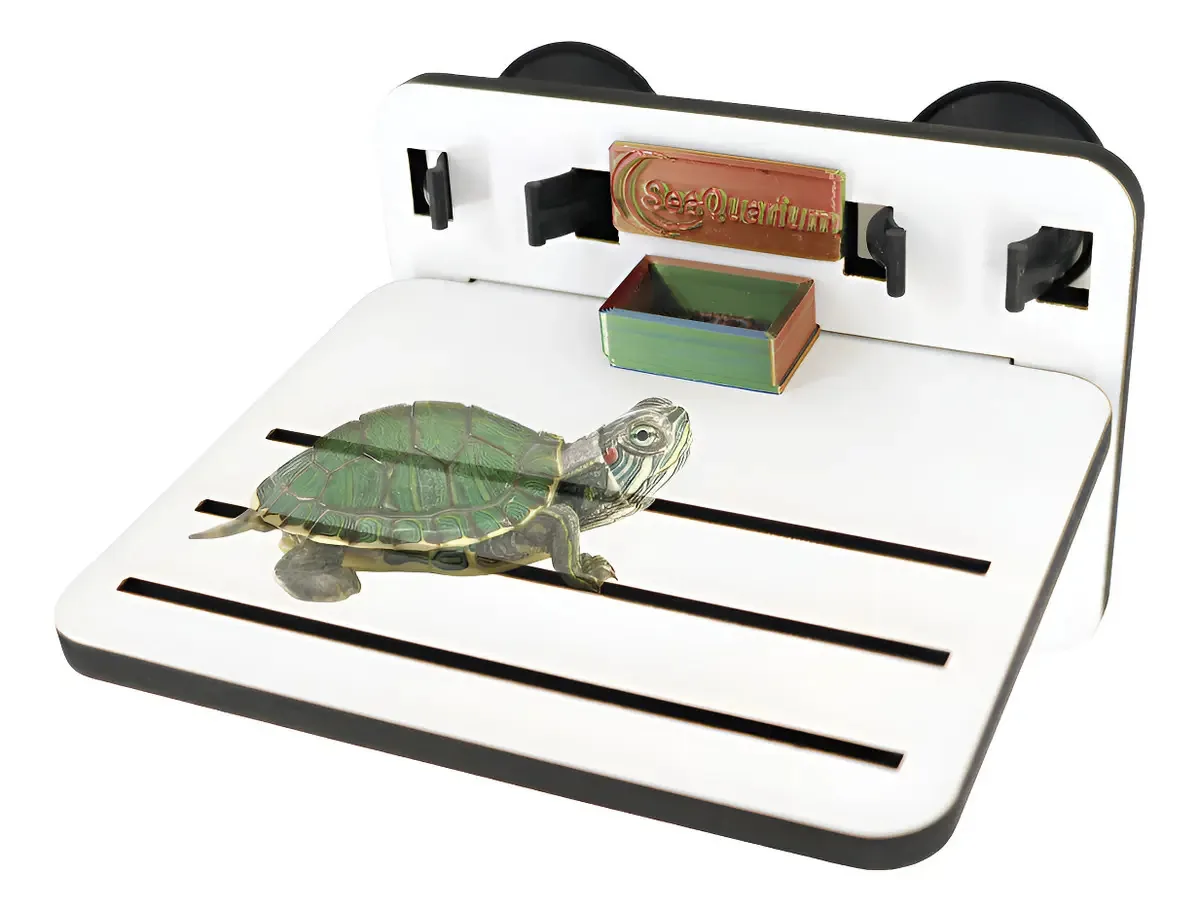 Rampa Plataforma Para Terrario De Tartatugas E Repteis - Med