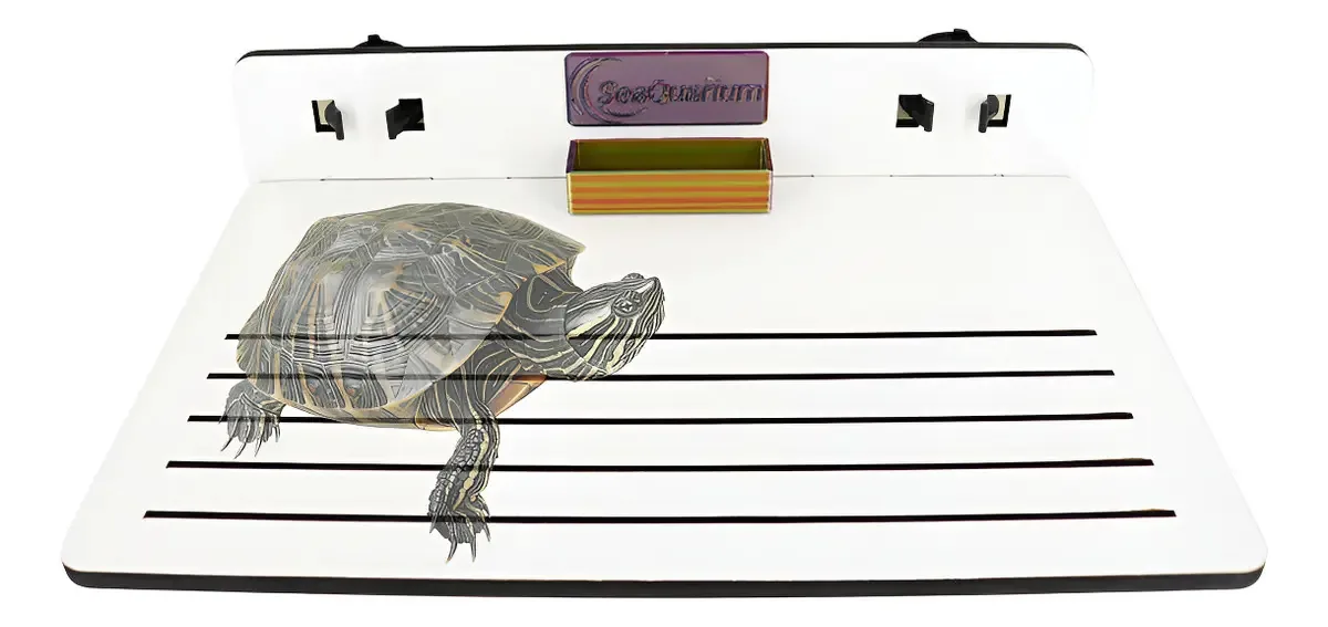 Plataforma E Rampa P/ Aquario De Tartatugas E Geckos - Gde