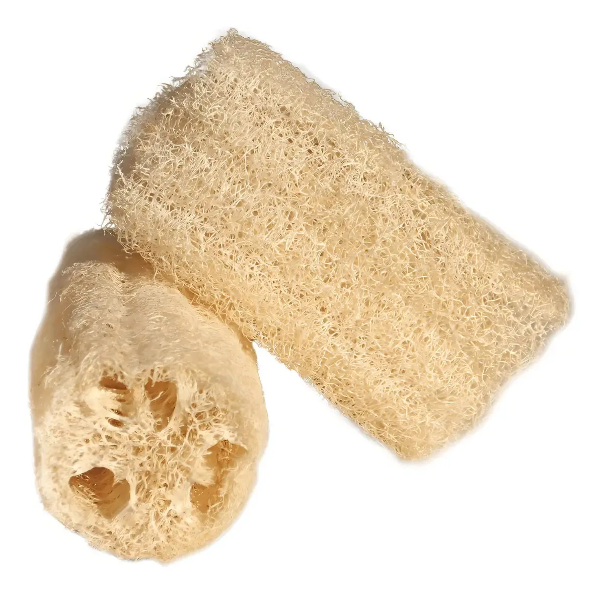 Bucha Vegetal Coqueratto Grande