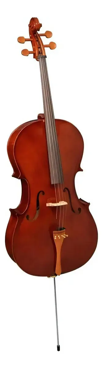 Violoncelo Hofma Hce 101 4/4 Profissional Madeira Abeto Inclui Arco e Estojo