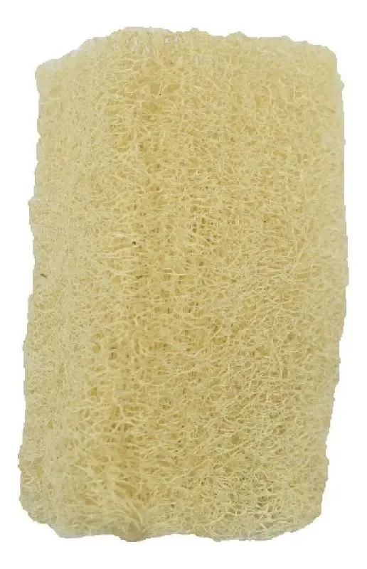 Bucha Fibra Forte Un Vegetal