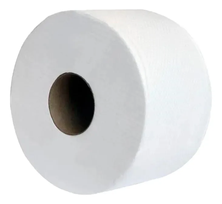 Papel Higiênico Celulose 10cm X 300m 1und