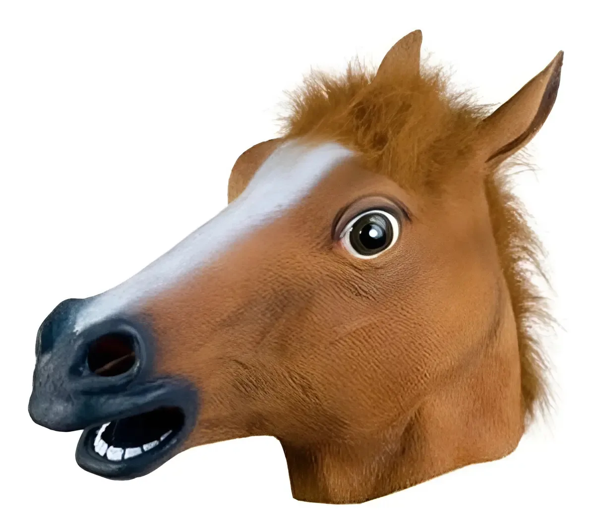 Máscara Cavalo Hdmatters Látex Cosplay Festa Cabeça Inteira Halloween