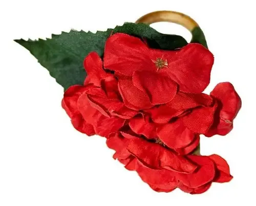 Argola De Guardanapos Auguri Casa Hostênsia Rubi