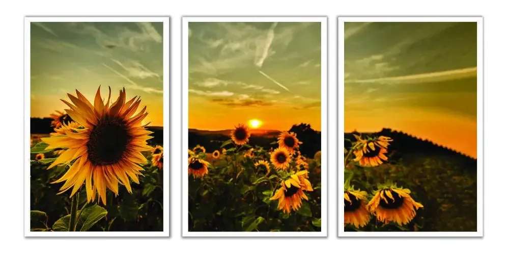 Quadro Decorativo Girassóis Pôr Do Sol 115x57 Sala Quarto