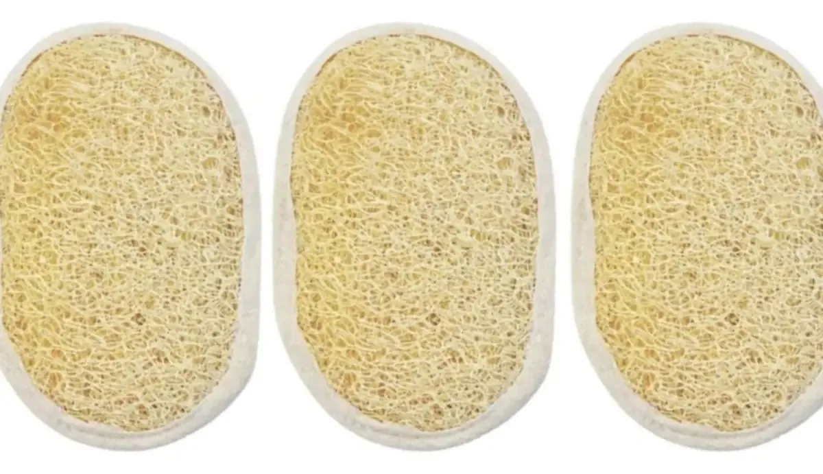 Kit 3 Bucha Vegetal Especial Para Banho