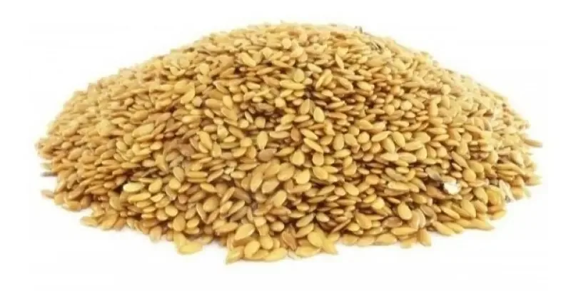 Linhaça Dourada Grão Premium 1kg Wenutri