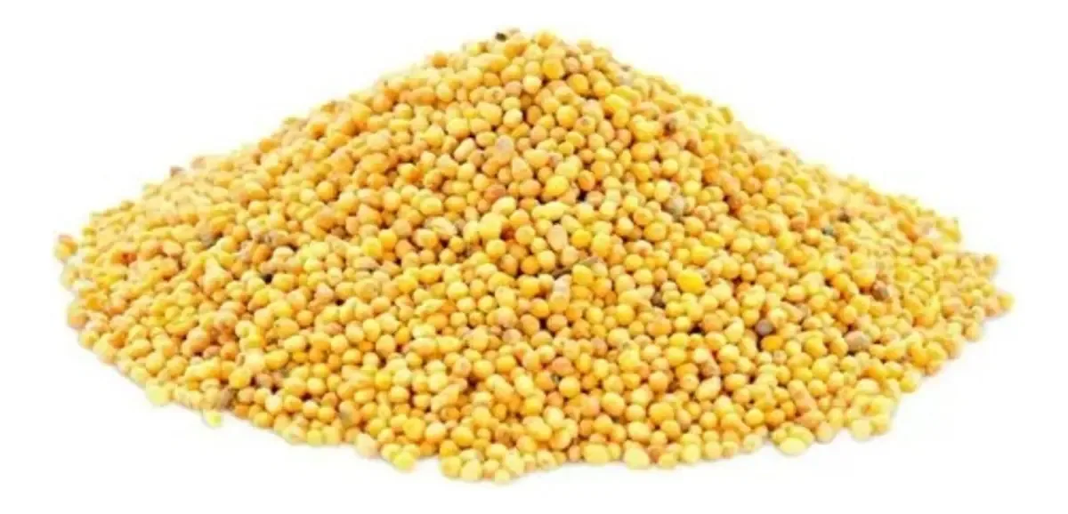 Mostarda Em Grão Amarela 1kg Wenutri