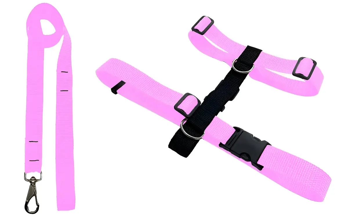 Conjunto Peitoral H e Guia Rosa P Cachorro Inter Pets Adestramento