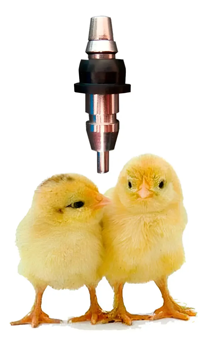 Kit Com 5 Bebedouro Automático Para Aves Tipo Niple Inox