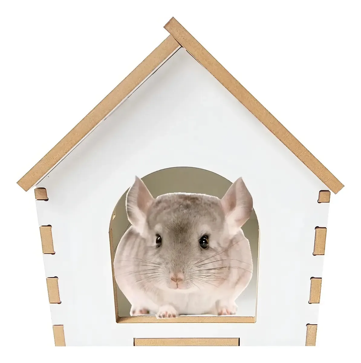 Casa Toca Mini Coelho Hamster Chinchila Porquinho Da Índia