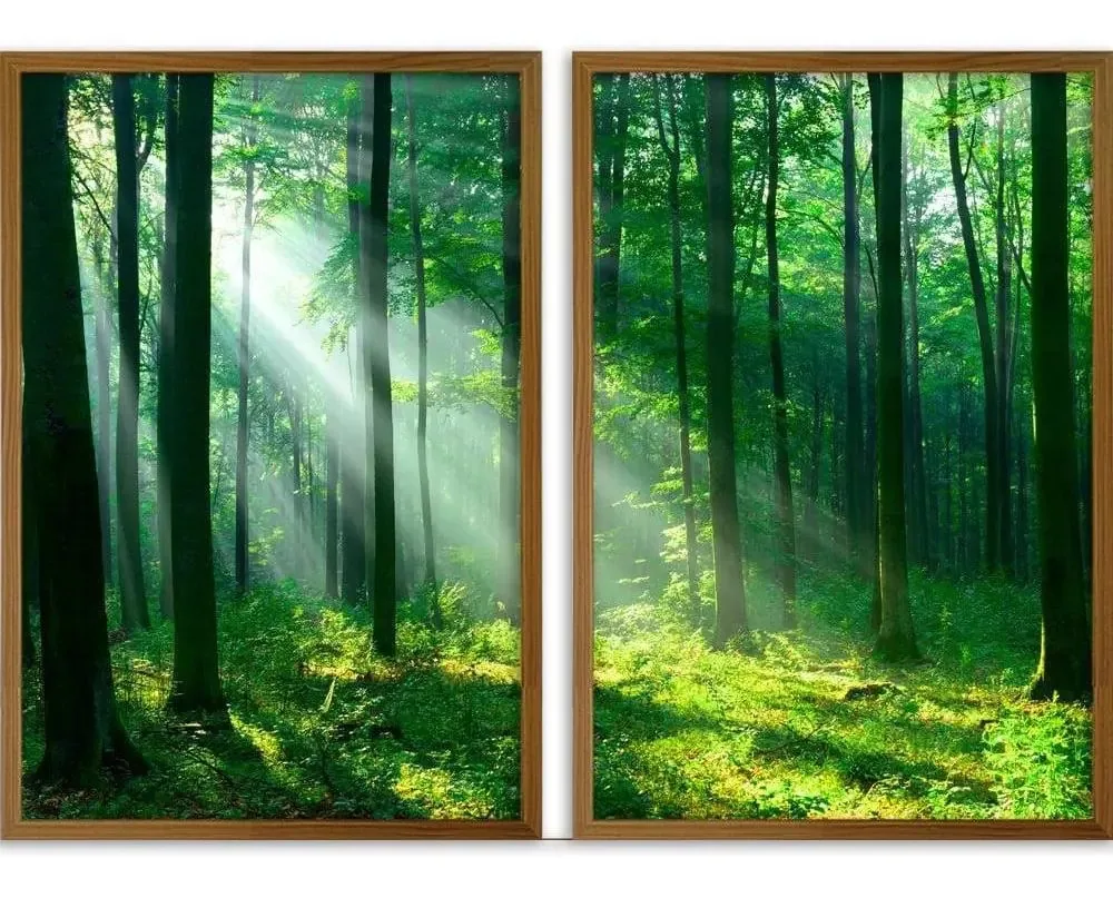 Conjunto Quadros Decorativos Floresta Sem Vidro