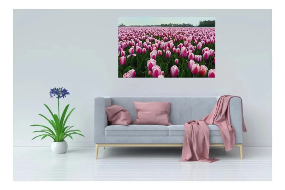 Quadros Decorativos Cavas Tulipas Rose 3