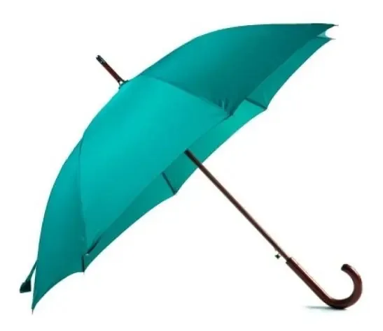Guarda Chuva Cabo Madeira Fazzoletti Cor Verde