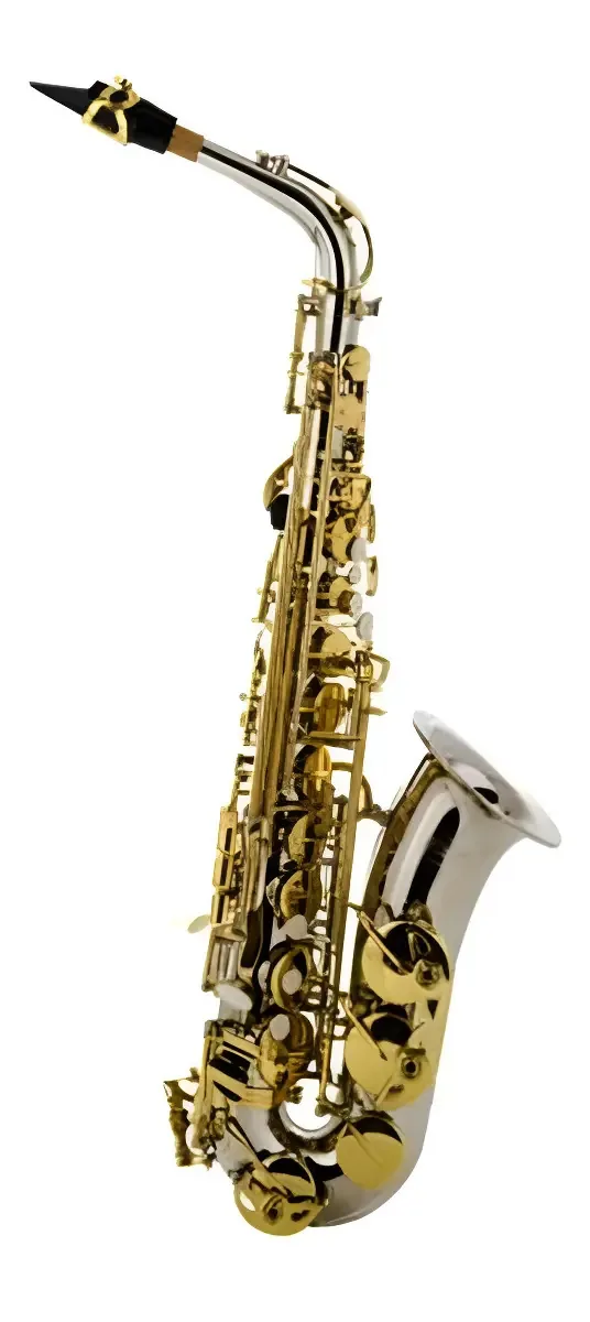 Saxofone Alto Niquelado Com Chaves Douradas Tokai Tsa200nl