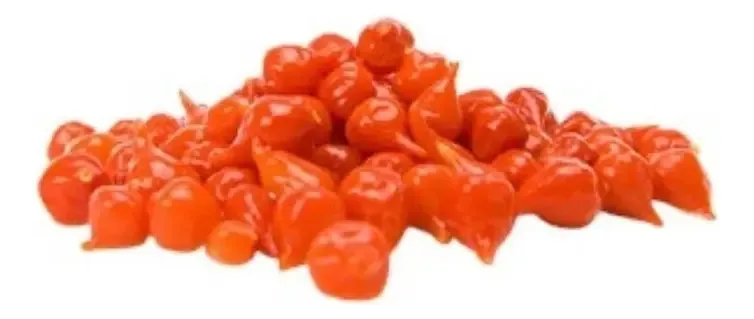 Pimenta Biquinho Em Conserva 100g