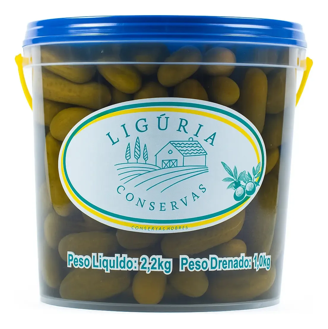 Pepino Em Conserva Balde 1kg