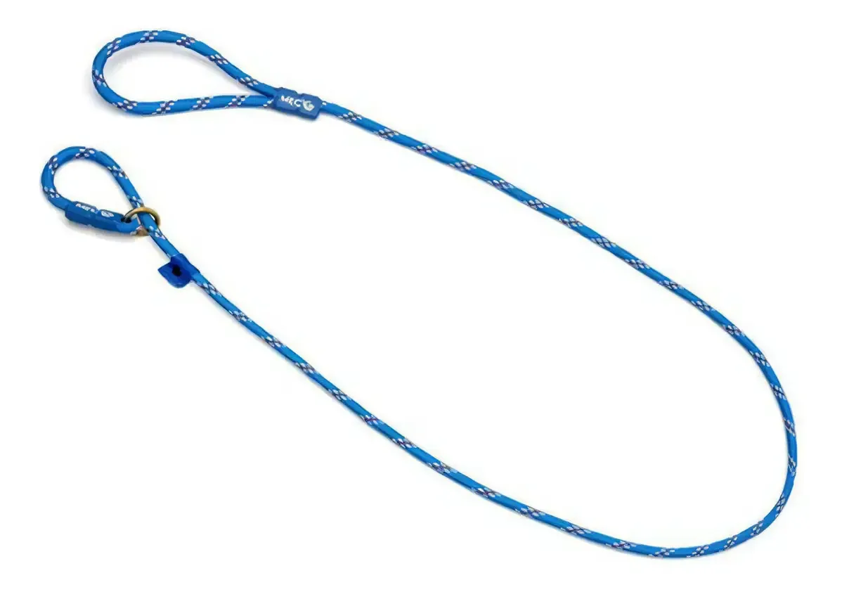 Guia De Adestramento Cachorro Pet Passeio 1,8m Azul Listrado