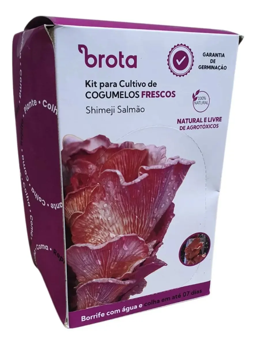 Kit De Cultivo De Cogumelo Frescos (shimeji Salmão) Brota