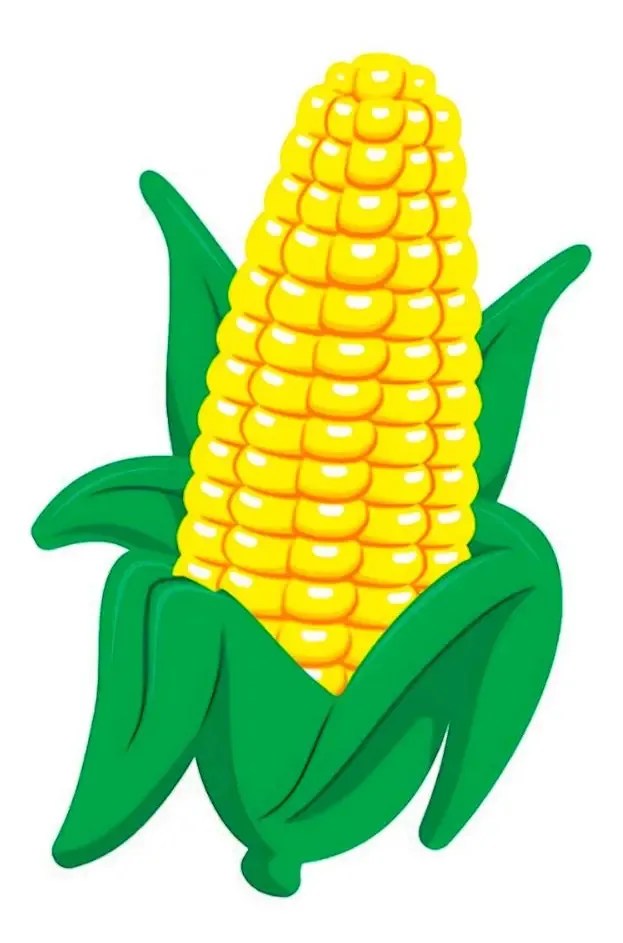 Decoração Festa Milho Verde Gigante Enfeite São João Junina