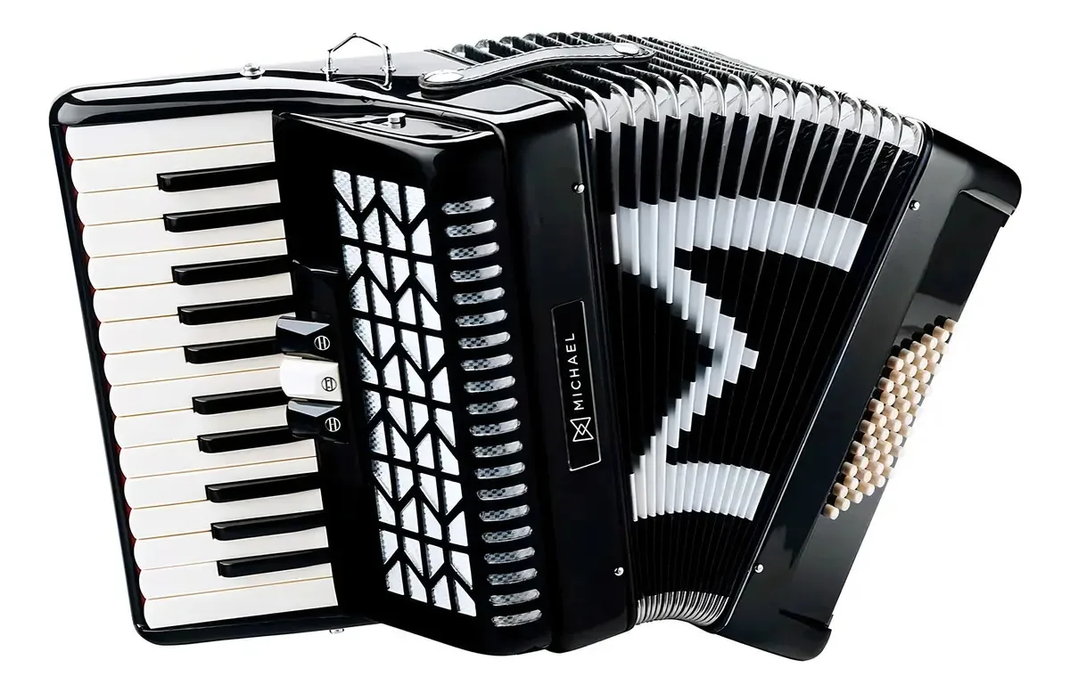 Acordeon 48 Baixos Michael Acm4803n Spb Preto Com Case
