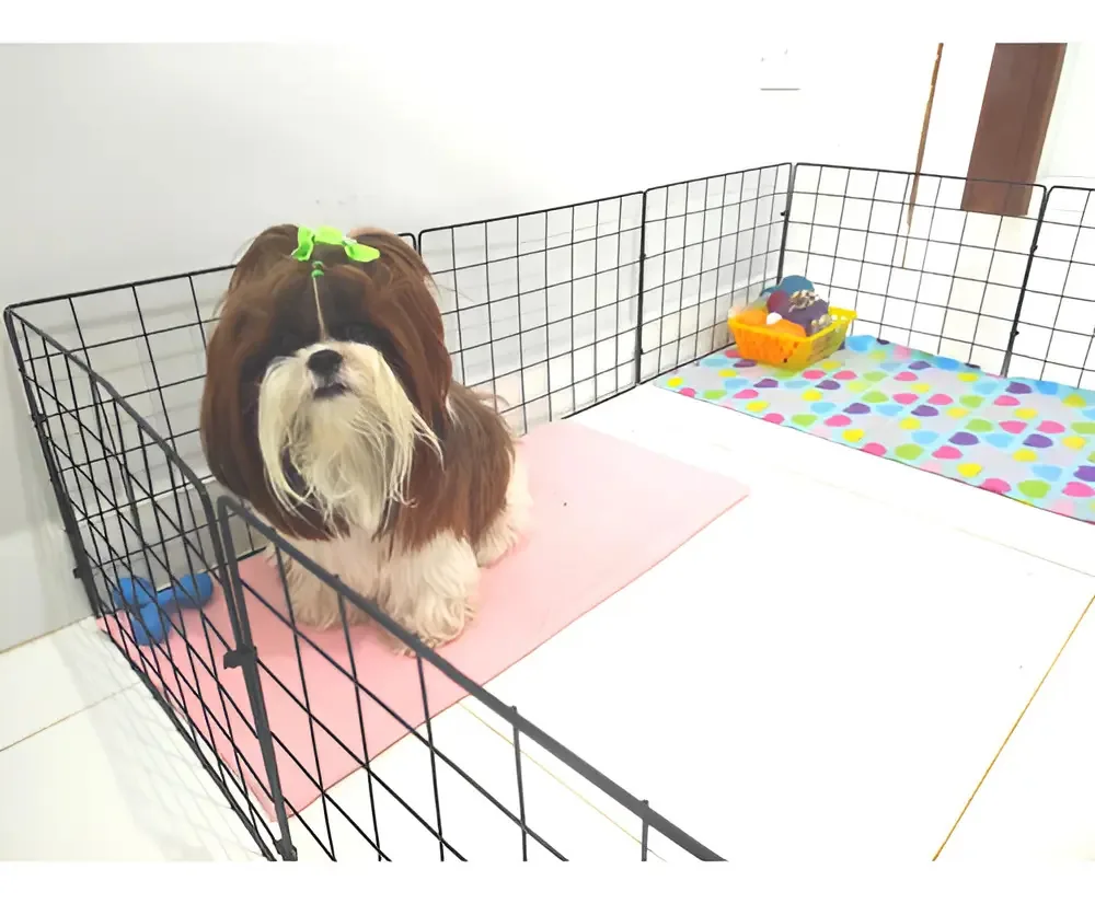 Cercado Pet Cercadinho 30x40 Cachorro 31 Telas Móvel + Abraç Cor Preto