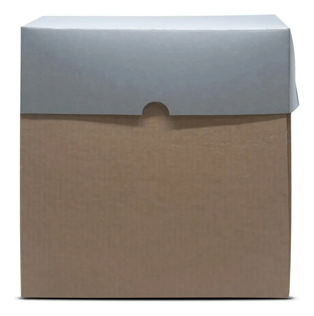 10 Caixas Para Bolo Alto Decorado Sem Visor 20x20x20 Cor Prata