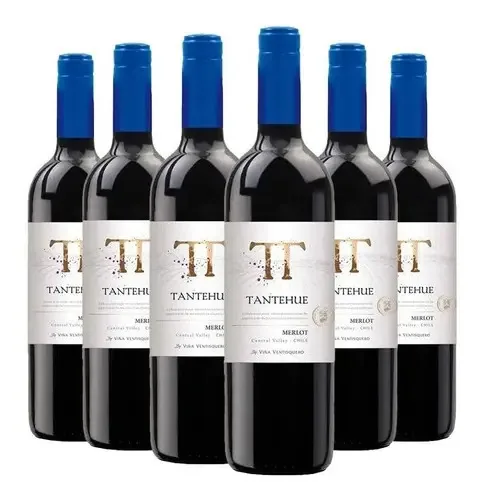 Kit 6 Vinhos Ventisquero Tantehue Merlot C/