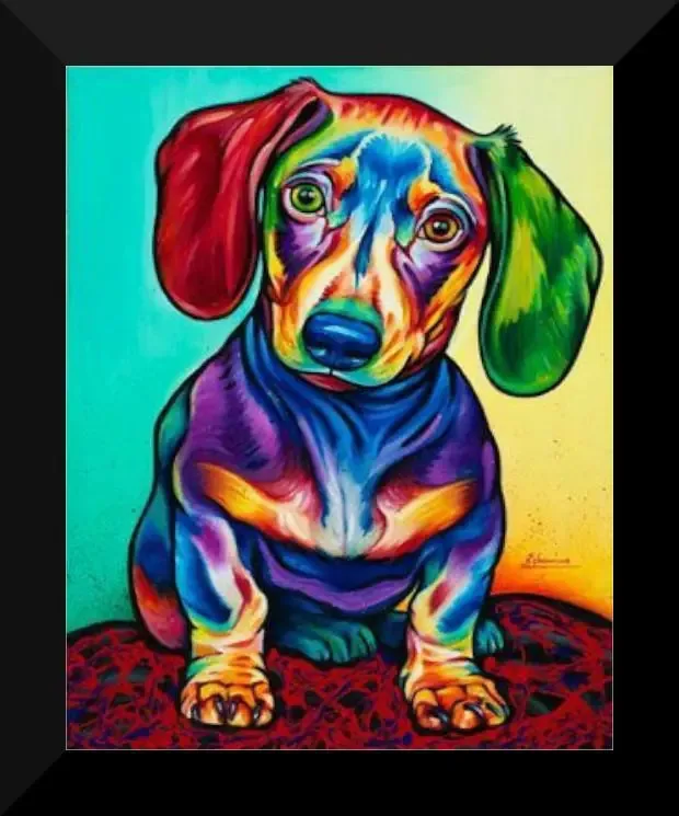Quadro Pet Shop Cachorro Dog 25x30cm Com Vidro Sa6