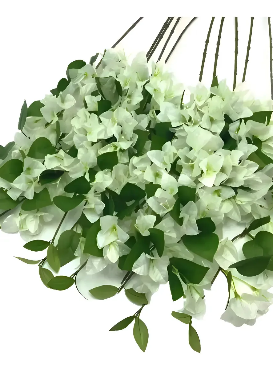Bougainville Tecido Branco 105cm Agelux