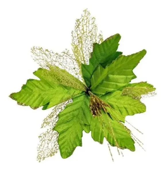 Poinsettia Verde 60x25cm Bico De Papagaio Natal