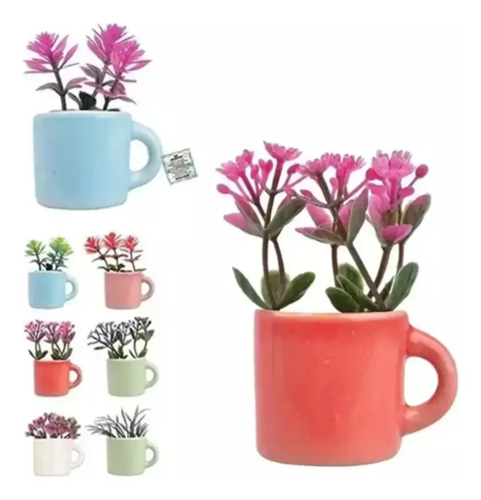 Imas Sortidos Plantas No Vaso