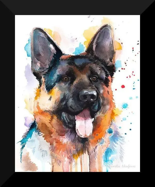Quadro Pet Shop Cachorro Dog 25x30cm Com Vidro Sa30