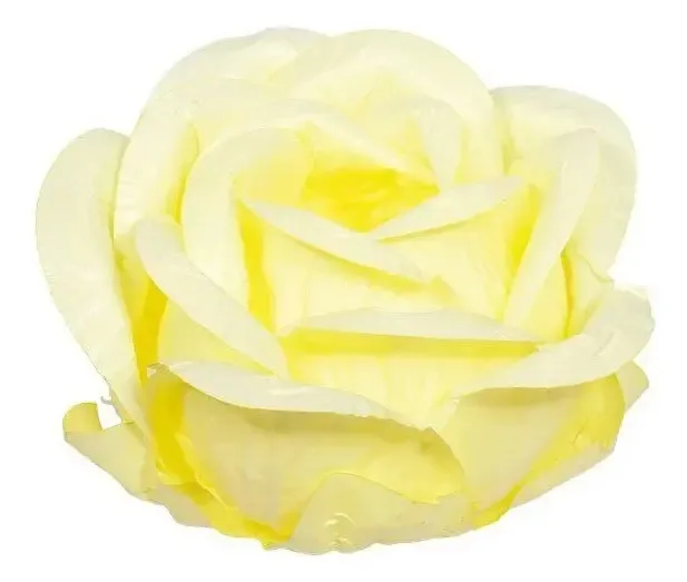 Form Magnolia Amar Cl 14004 C/30 Decora Doces