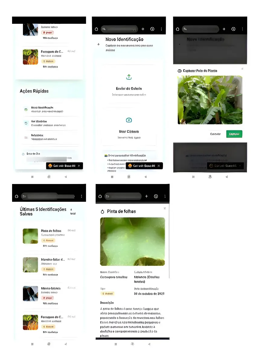 Aplicativo De Controle De Pragas E Doenças De Plantas