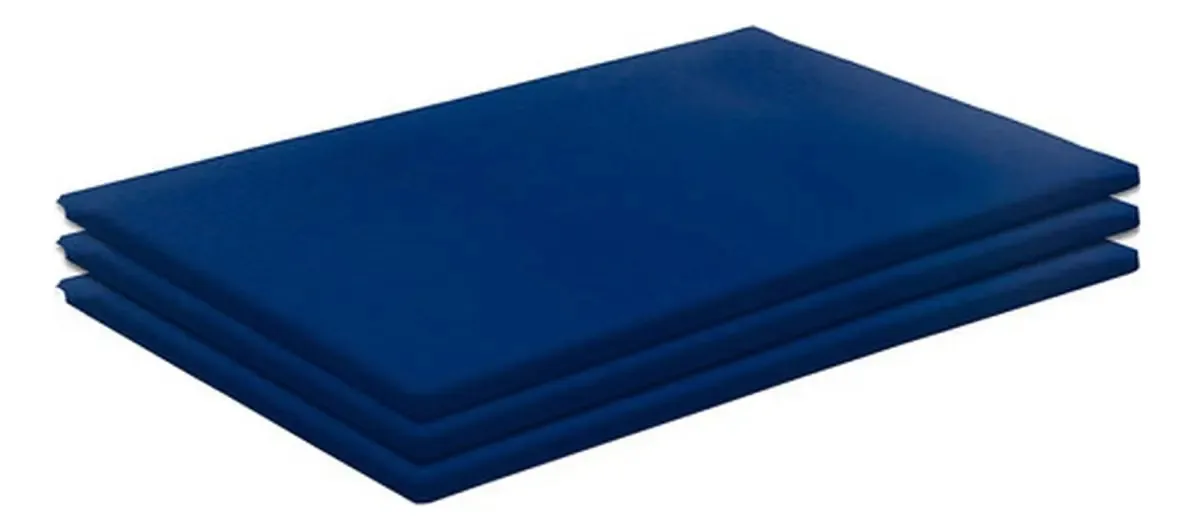 Kit 3 Colchonetes De Espuma Academia/ginastica Corvin Azul