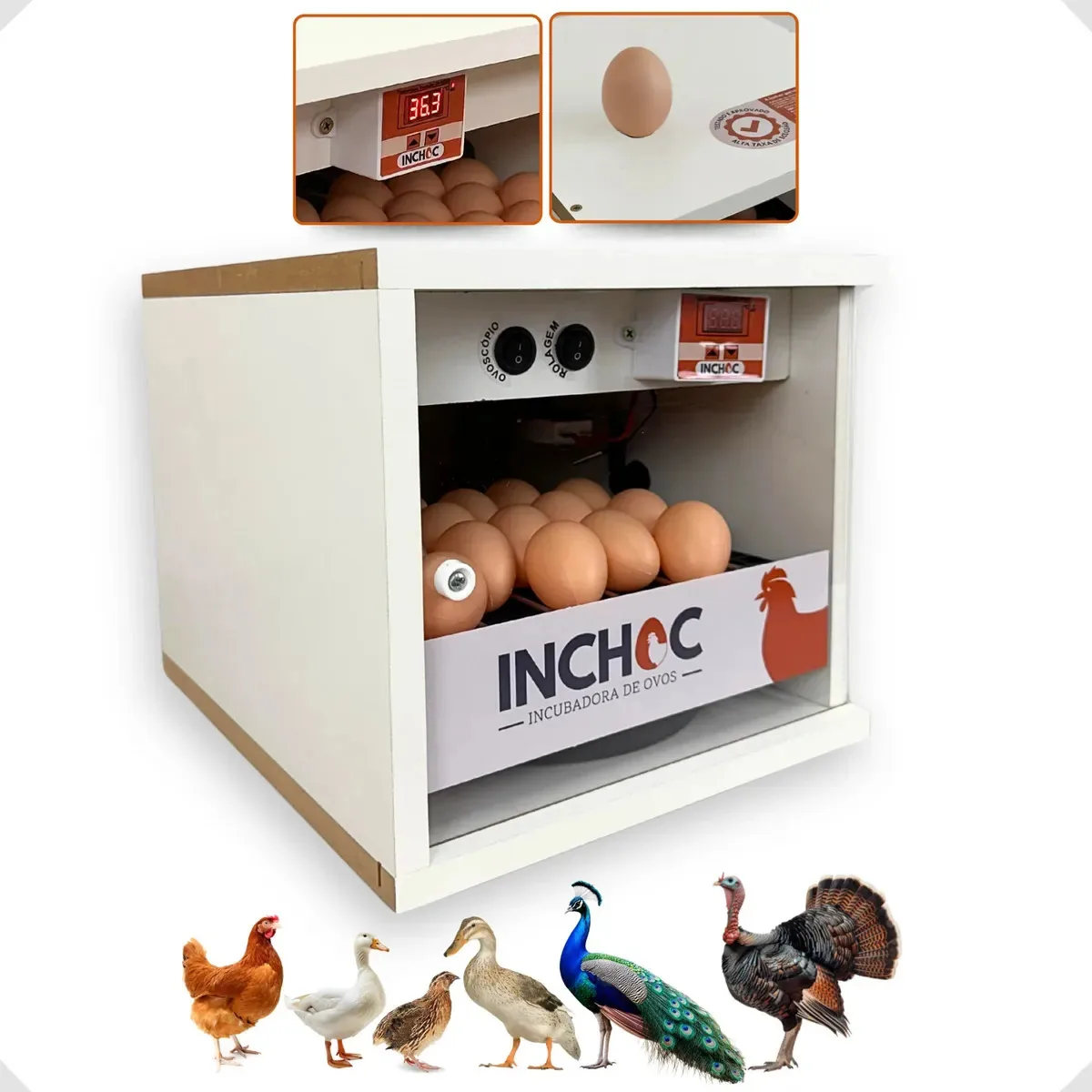 Chocadeira De 20 Ovos Rolagem Automatica + Ovoscopio