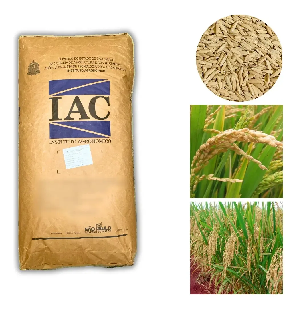 Arroz Sequeiro Iac 202 - 25kg De Sementes Safra-23